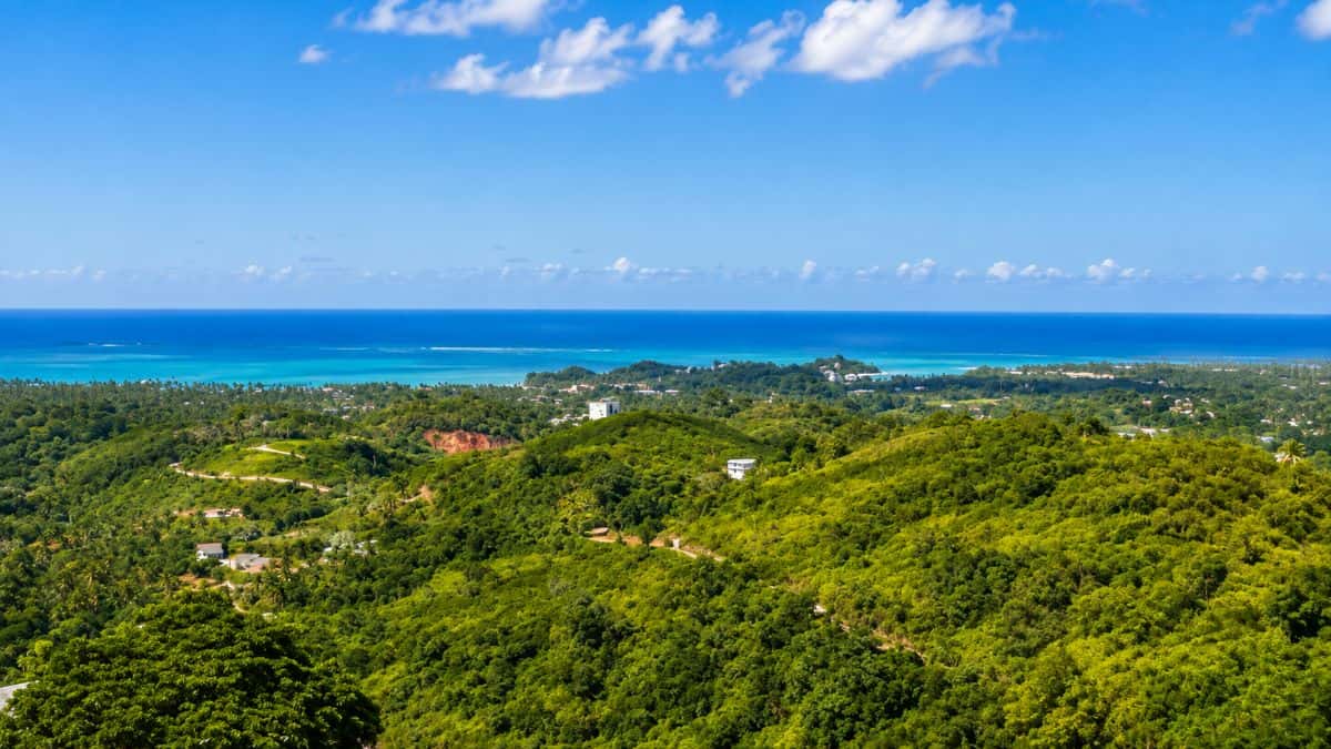 🌴 Exceptional 2,443 m² Building Plot with Sea View - Las Terrenas