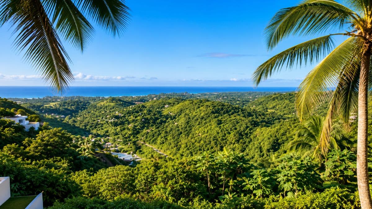 🌴 Exceptional 2,443 m² Building Plot with Sea View - Las Terrenas - Image 2