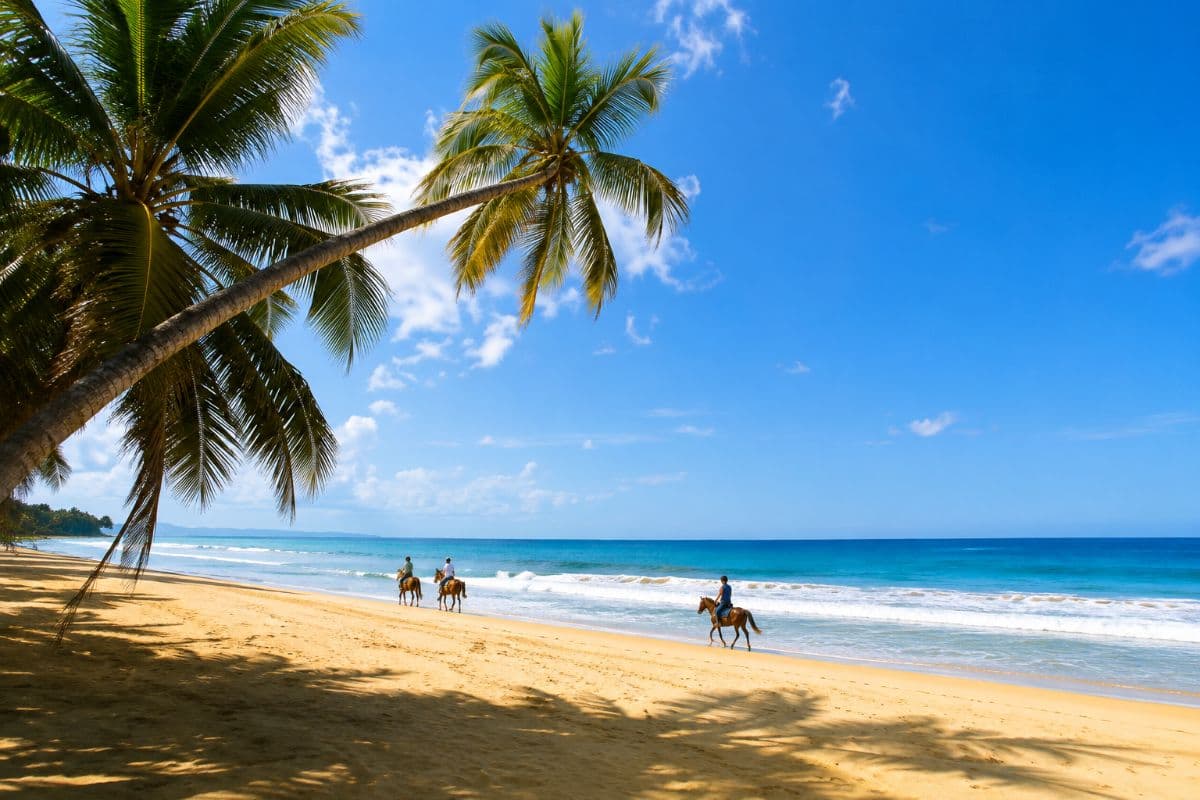 🌴 Exceptional Sea View Building Plots - Loma de Cosón, Las Terrenas - Image 5