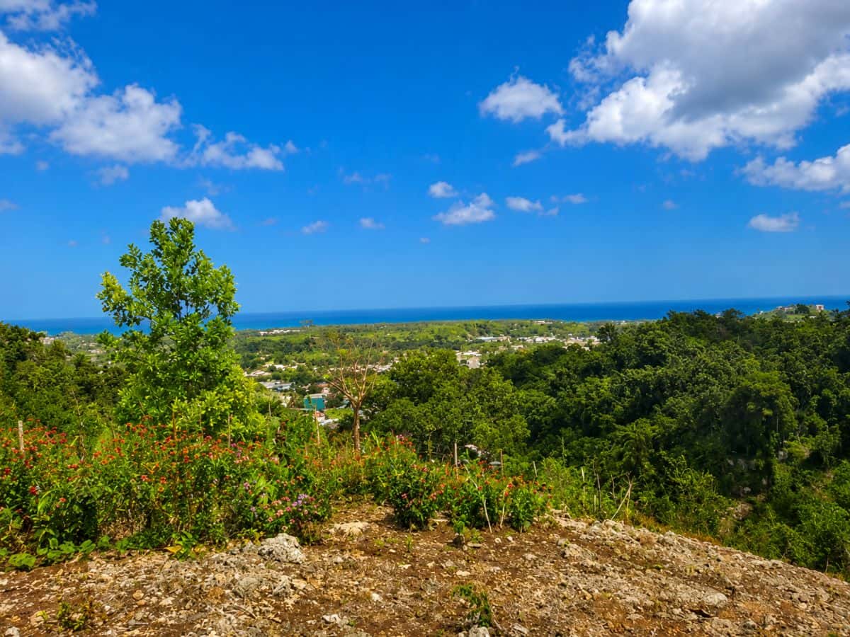 🌴 Terrain Constructible de 1 300 m² avec Vue Mer - Hoyo Cacao, Las Terrenas