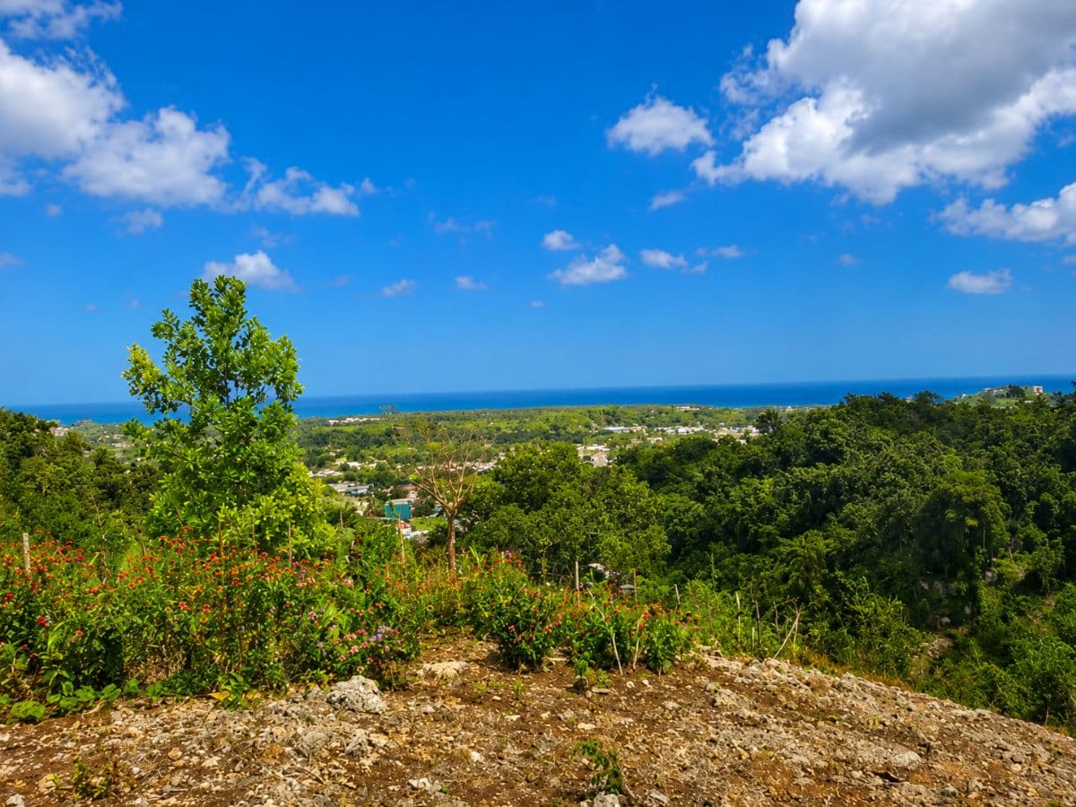 🌴 1,300 m² Buildable Plot with Sea View - Hoyo Cacao, Las Terrenas - 1