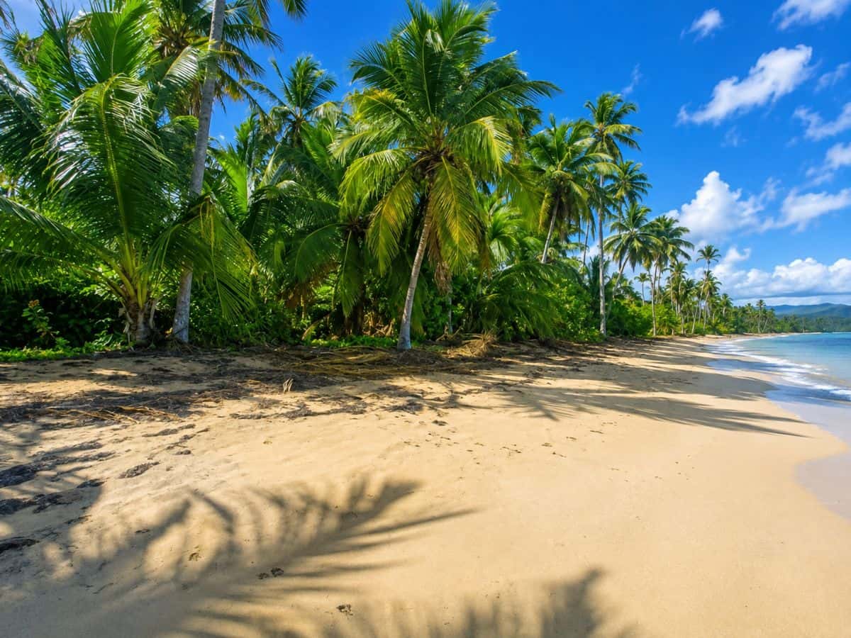 🌴 Rare 2,500 m² Building Plot Just 60 m from Playa Cosón – Las Terrenas