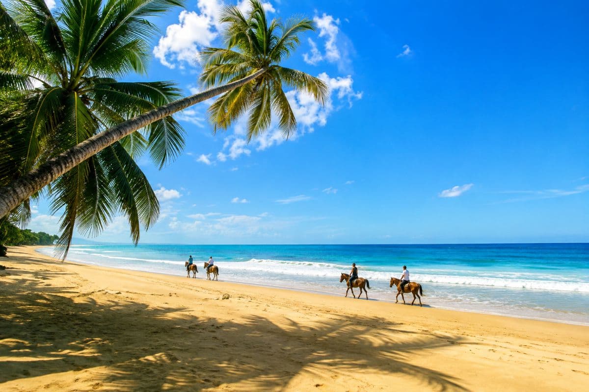 🌴 Rare 2,500 m² Building Plot Just 60 m from Playa Cosón – Las Terrenas - Image 4