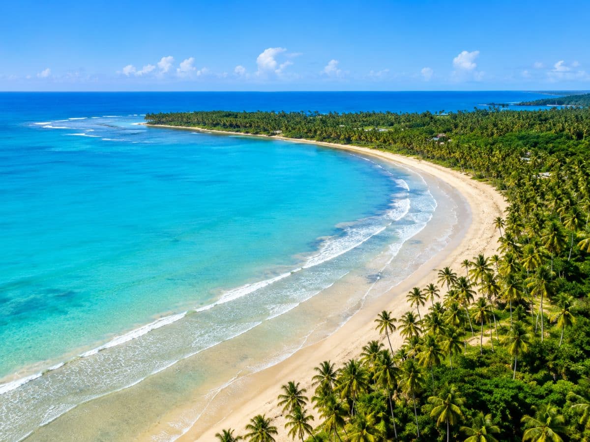 🌴 Rare 2,500 m² Building Plot Just 60 m from Playa Cosón – Las Terrenas - Image 3