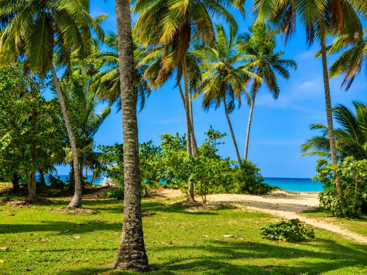 🌴 Exceptional Beachfront Building Plot – Portillo, Las Terrenas