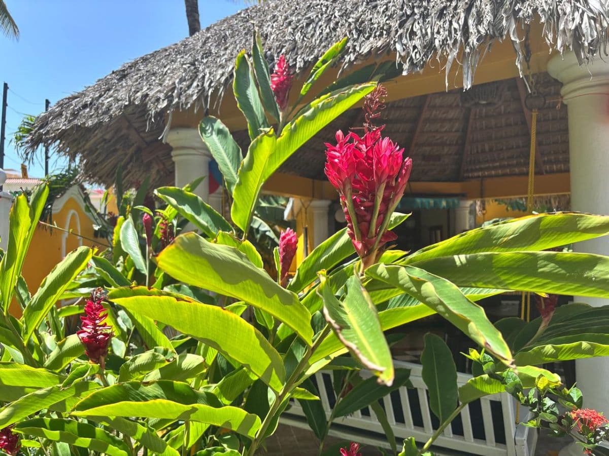 Rare Multi-Unit Investment in El Cortecito - Image 4