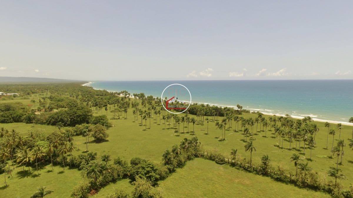 Prime Beachfront & Oceanview Development Land – Gaspar Hernández, Dominican Republic - Image 5
