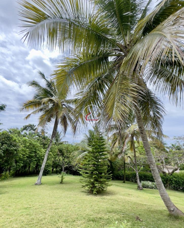 Cradled in serenity – Villa in El Choco - Image 4