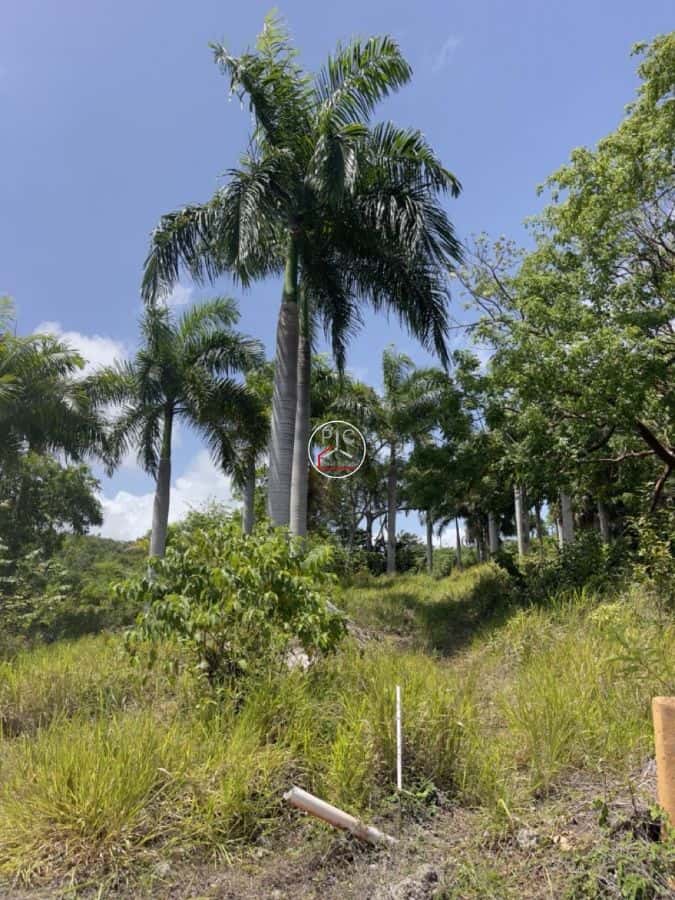 Stunning Hillside Lots for Sale in Sosúa – Surrounded by Nature, Gated Community, Ocean Views