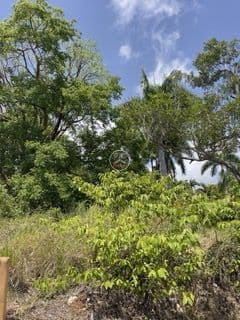 Stunning Hillside Lots for Sale in Sosúa – Surrounded by Nature, Gated Community, Ocean Views - Image 2