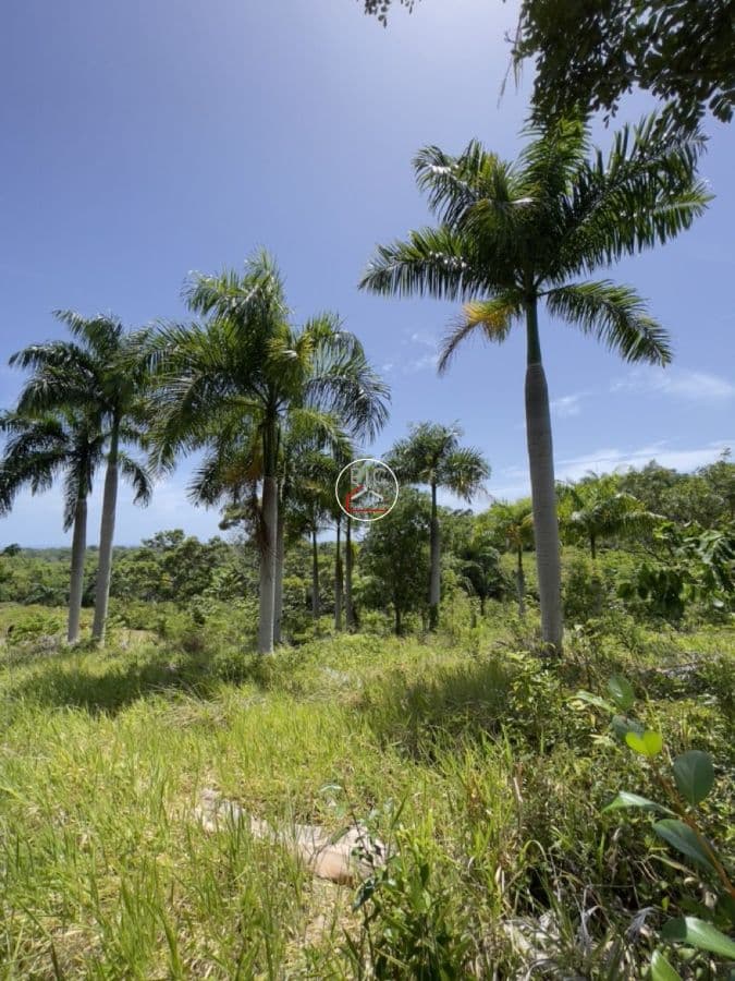 Stunning Hillside Lots for Sale in Sosúa – Surrounded by Nature, Gated Community, Ocean Views - Image 4