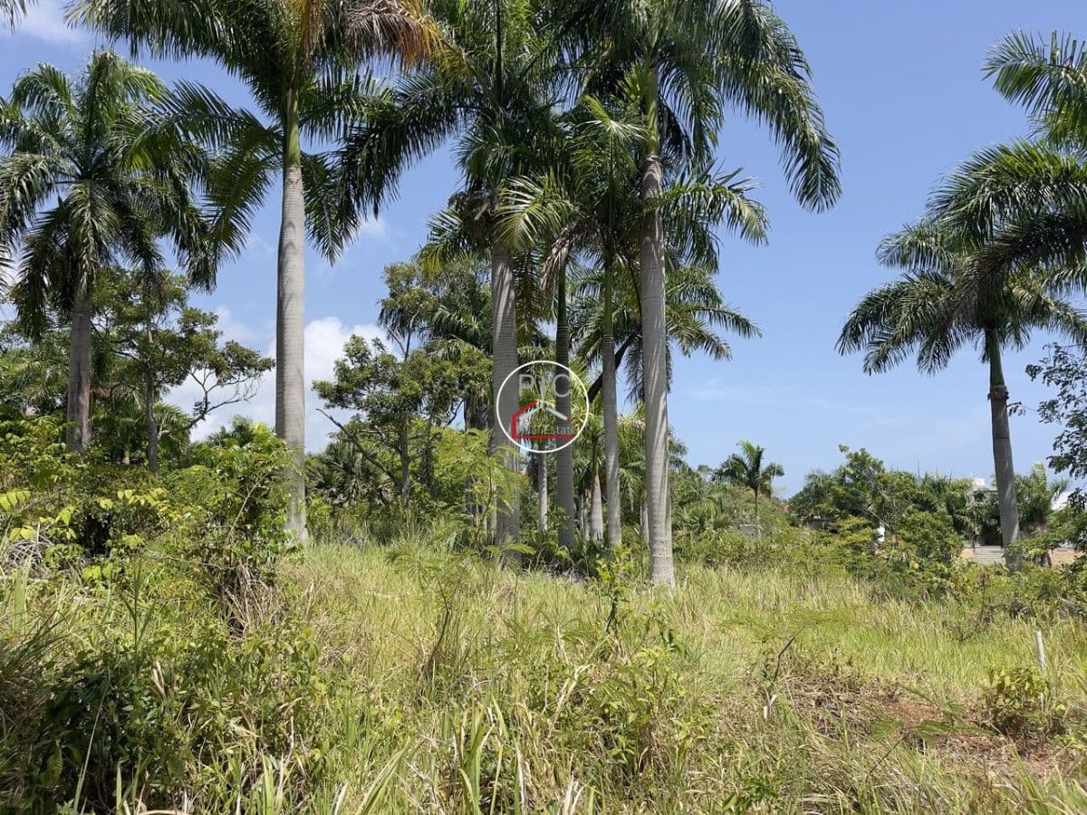 Stunning Hillside Lots for Sale in Sosúa – Surrounded by Nature, Gated Community, Ocean Views - Image 5