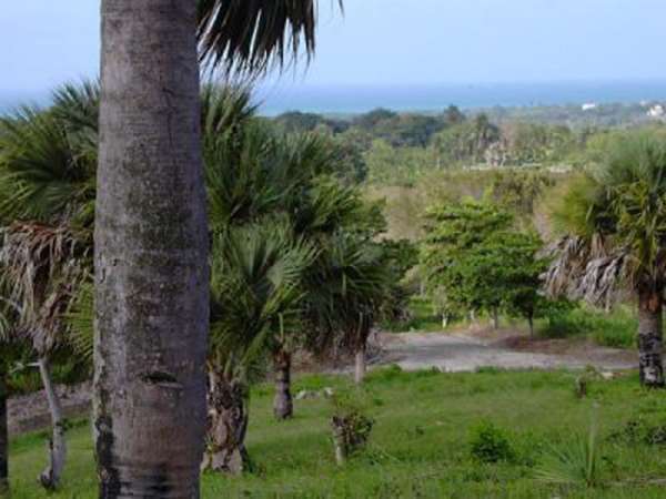 A View Like A Caribbean Dream! Overlook The Ocean