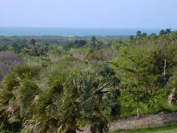 A View Like A Caribbean Dream! Overlook The Ocean