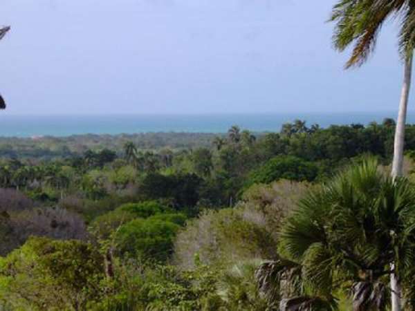 A View Like A Caribbean Dream! Overlook The Ocean