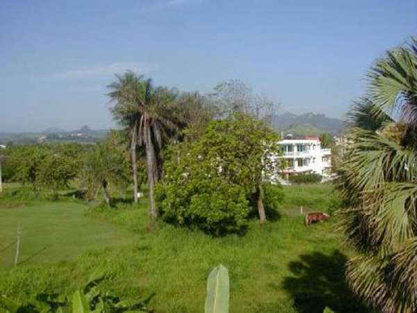 Large Building Lot With Shady Mango Trees