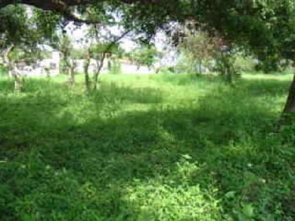 2 Beautiful Large Lots In A  Perfect Quiet Area On
