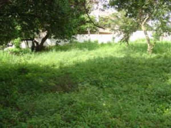 2 Beautiful Large Lots In A  Perfect Quiet Area On