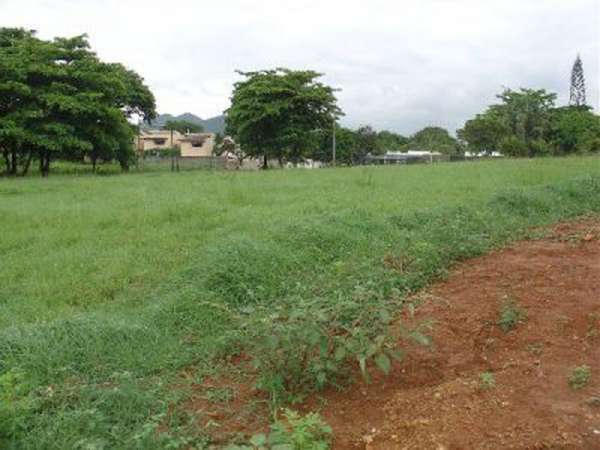 Take Advantage Of The Low Prices Of Land In