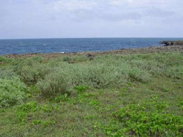 Ocean Front Finca With Direct Access From The Main