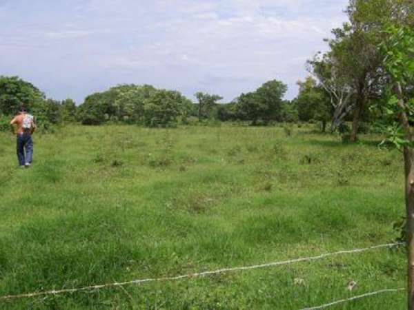 Ocean Front Finca With Direct Access From The Main