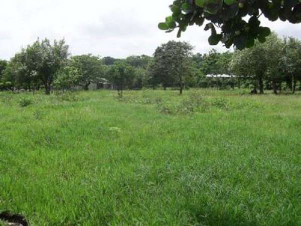 Ocean Front Finca With Direct Access From The Main