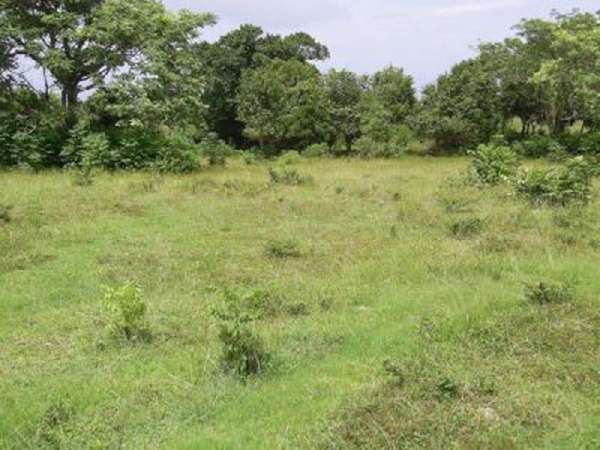 Ocean Front Finca With Direct Access From The Main