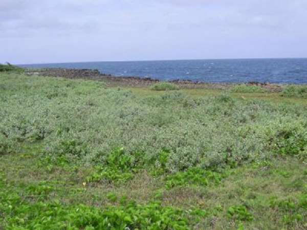 Ocean Front Finca With Direct Access From The Main