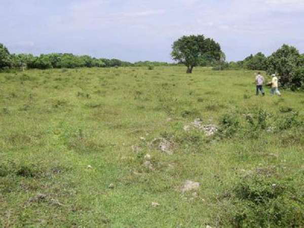 Ocean Front Finca With Direct Access From The Main