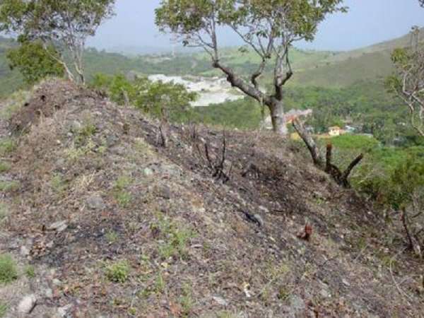 Ocean View Land On A Hill Overlooking Lush Hills,