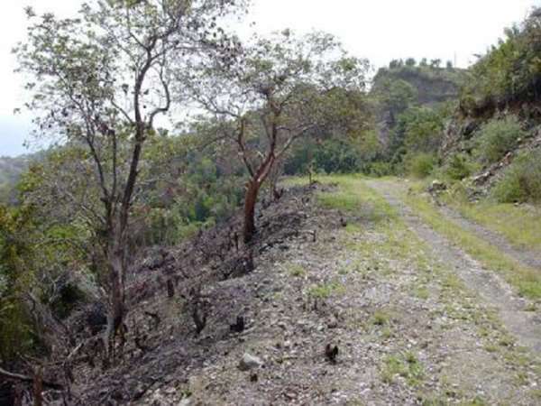 Ocean View Land On A Hill Overlooking Lush Hills,