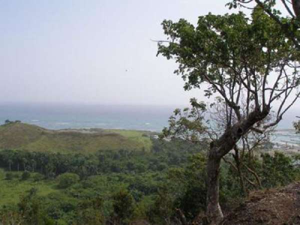 Ocean View Land On A Hill Overlooking Lush Hills,