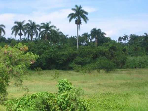 Large Commercial Property Along The Highway