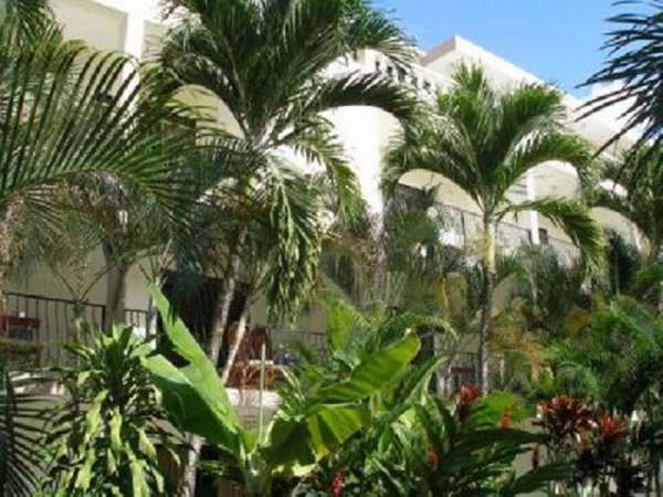 Convenient, Affordable Cabarete Condo  This Lovely