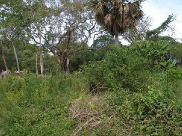 Lot For Sale Suitable For Building In Perla Marina
