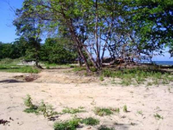 Outstanding Large Ocean And Beach Front Lot With