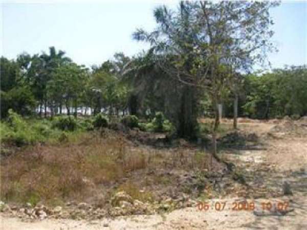Wonderful Lot In Gated Comunity Only Steps From