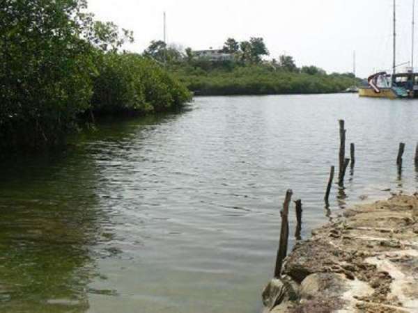 This Property Overlooks The Bay Of Luperon. It