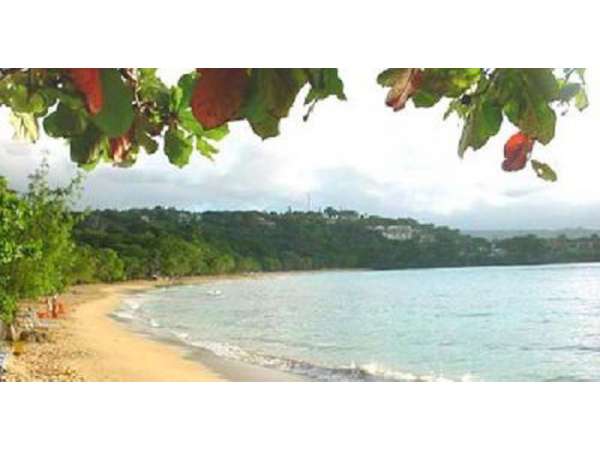 Wonderful Hotel In The Lovely Centre Of Sosua,