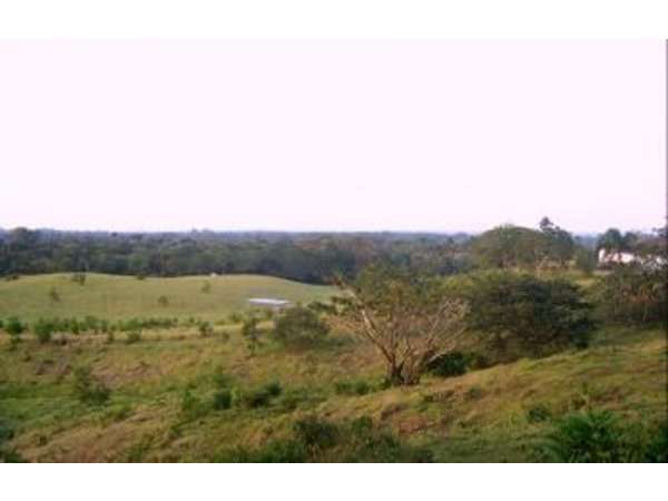 Puerto Plata Land For Sale, Located Near Playa