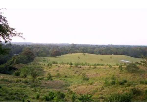 Puerto Plata Land For Sale, Located Near Playa