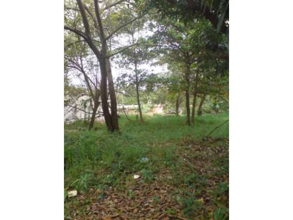 Wonderful Building Lot  In A  Quiet Area Of