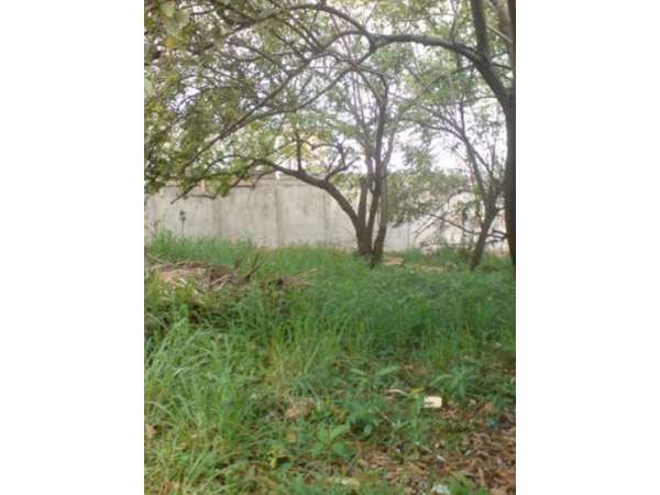 Wonderful Building Lot  In A  Quiet Area Of