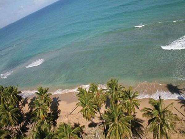 Beachfront Land For Sale In Project In Las