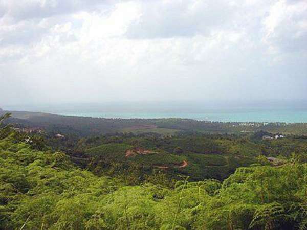 200.000m2 Finca With Oceanview For Sale