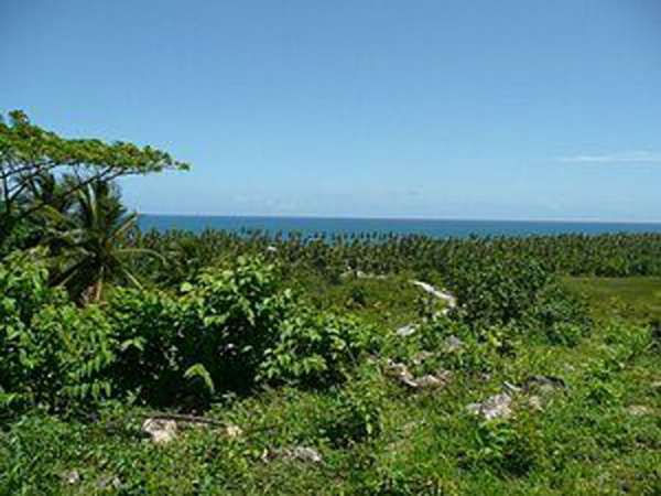 Oceanview Land For Sale In Project