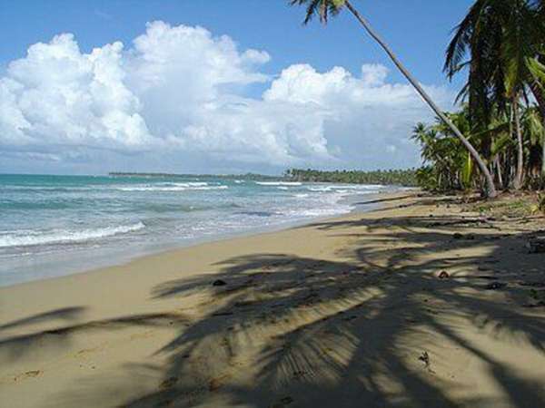 3 Beachfront Lots For Sale In Playa Coson