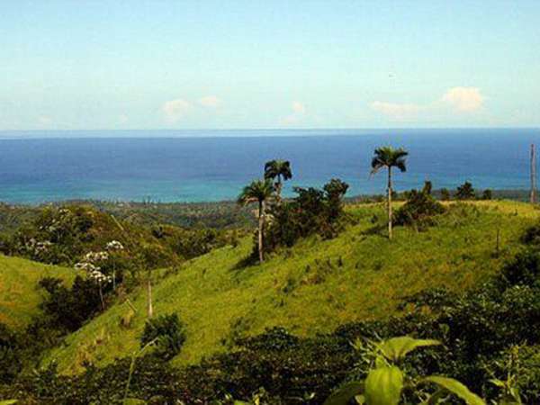 Hill For Investor Close To Las Terrenas With View