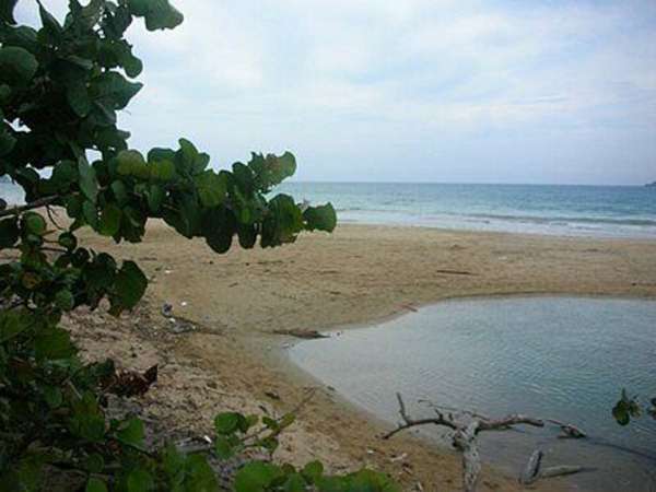 Beachfront Land For Investors At El Catey For Sale