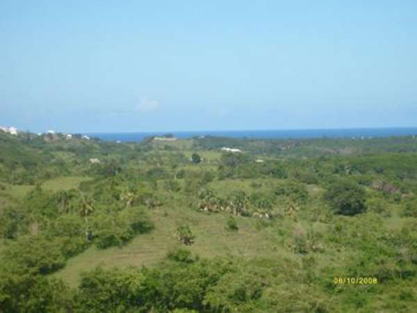 Farm - Ranch In Luperon